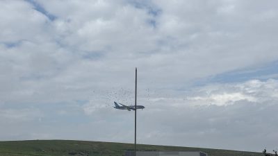 İstanbul, bahar aylarında Afrika’dan Avrupa’ya göç eden leylek sürülerinin önemli