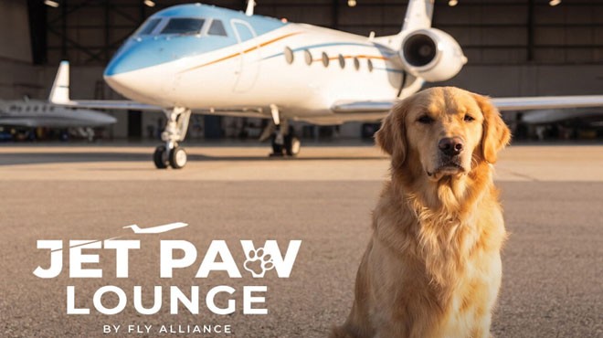 Köpeklere Özel Terminal “Jet Paw Lounge”u Hizmete Açılıyor Özel jet kiralama şirketi Fly Alliance, ABD New Jersey’deki Teterboro