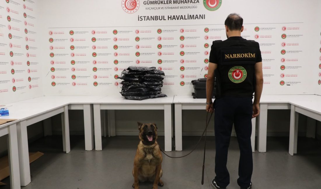 İstanbul Havalimanı’nda uyuşturucu operasyonu Ticaret Bakanlığına bağlı Gümrükler Muhafaza ekipleri, İstanbul Havalimanı’nda düzenlediği operasyonda